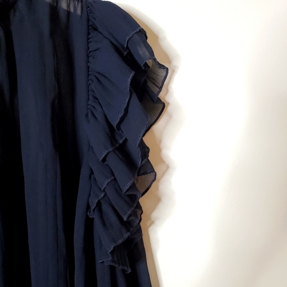 Anthropologie Sheer Chiffon Ruffle Blouse Top - Picture 3 of 14